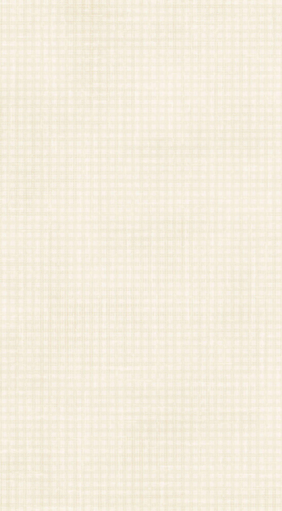 jss_justbeachy_paper gingham white.jpg
