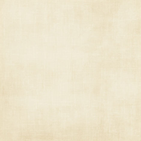 jss_justbeachy_paper solid white.jpg