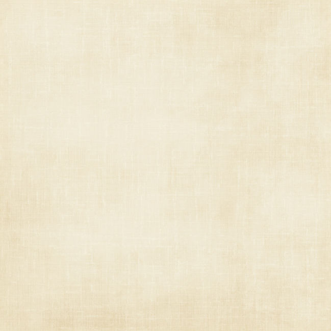jss_justbeachy_paper solid white.jpg