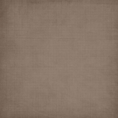 jss_littlelady_paper solid brown.jpg