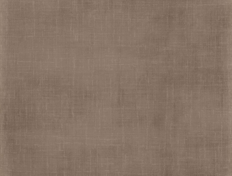 jss_justbeachy_paper solid brown.jpg