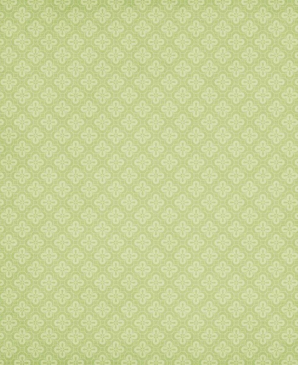 coton de tulear background green