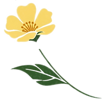 Single Buttercup Flower for logo_edited.