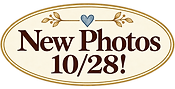 file_00000000d4e88230b3933a7104dd31fc.png