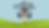 website hoofnotes.png
