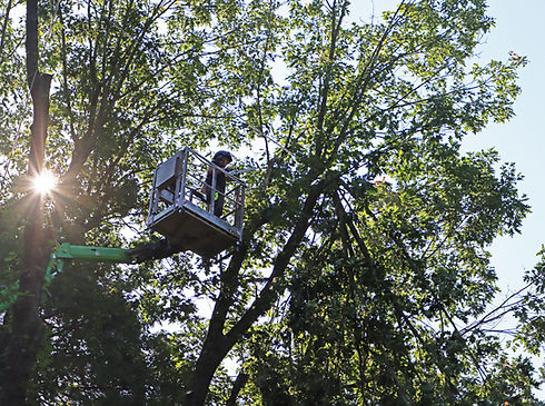 IMG_6368 bewerkt kleiner.jpg