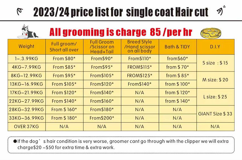 priceSingleCoat_edited_edited.jpg