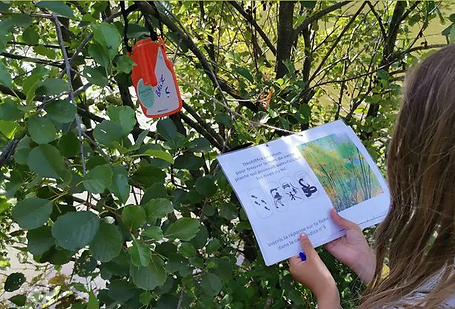 balise jeu orientation rébus papyrus enfant