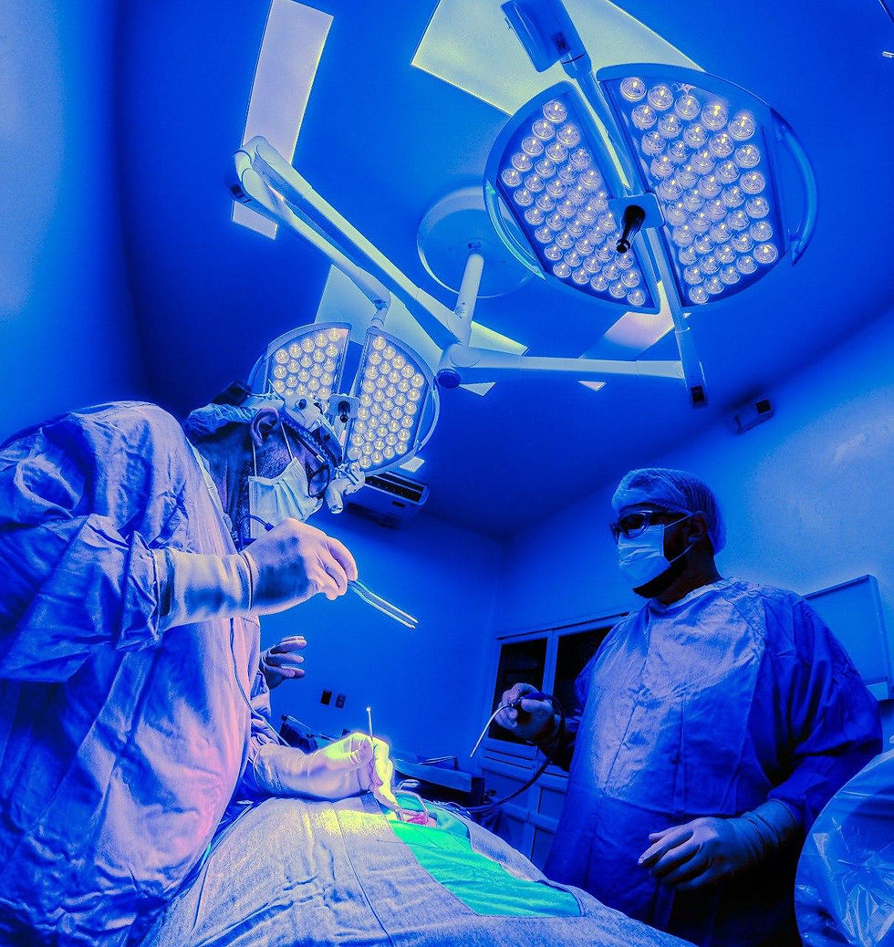 Neurociencias del Bienestar para la Mujer: Lo que tu cerebro necesita en cada Década.