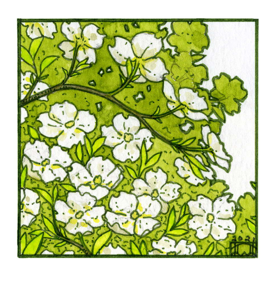 Lana Lambert Dogwood Blossoms Tile wix