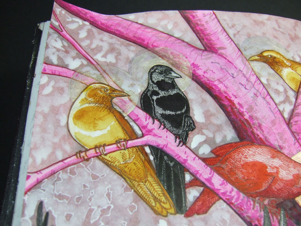 Lana Lambert Corvus sanzuwu crow triplet wix