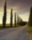 Roman Road.jpg