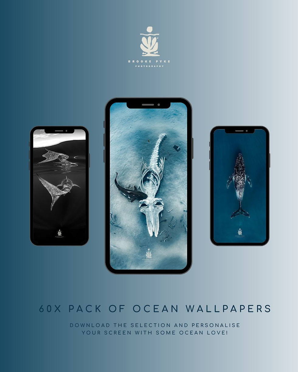 Thumbnail: Phone Wallpapers 60X