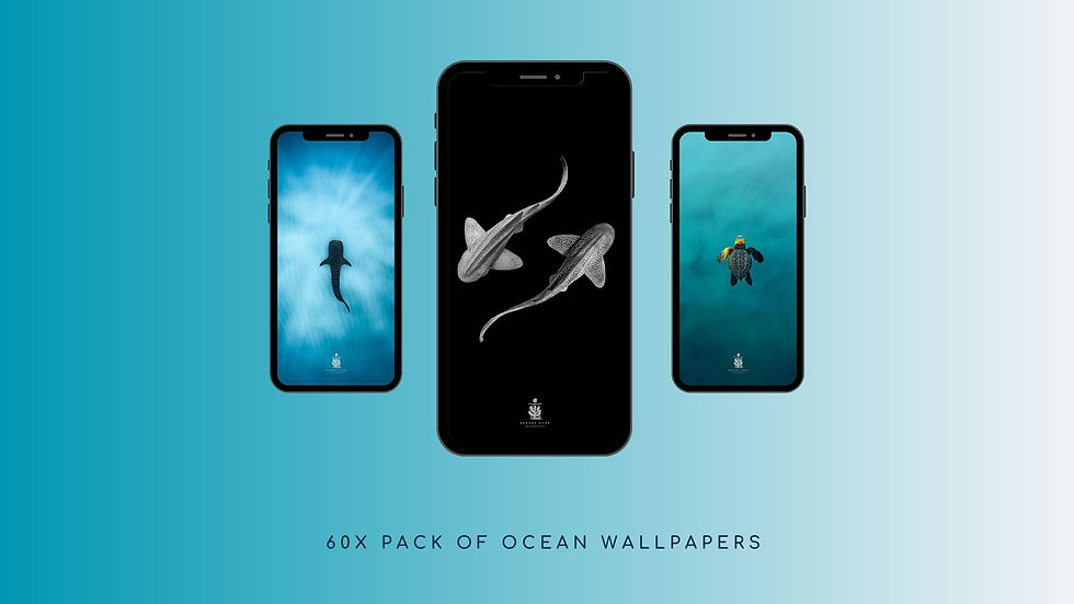 Phone Wallpapers 60X