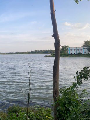 Bandhs of Bishnupur: Beauty & Legacy