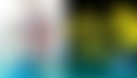 Erica Friedman Amazing Guest at Citrus Con 2023