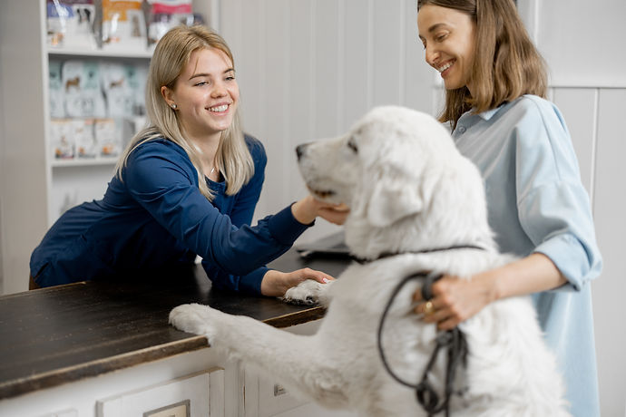 AdobeStock_435968955.jpeg