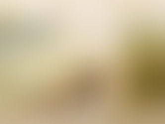 FUSILLI - Qu'est-ce qu'on mange en février ?