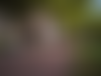 What I Learnt From My First Marathon | Part 2 | Tech & Tips