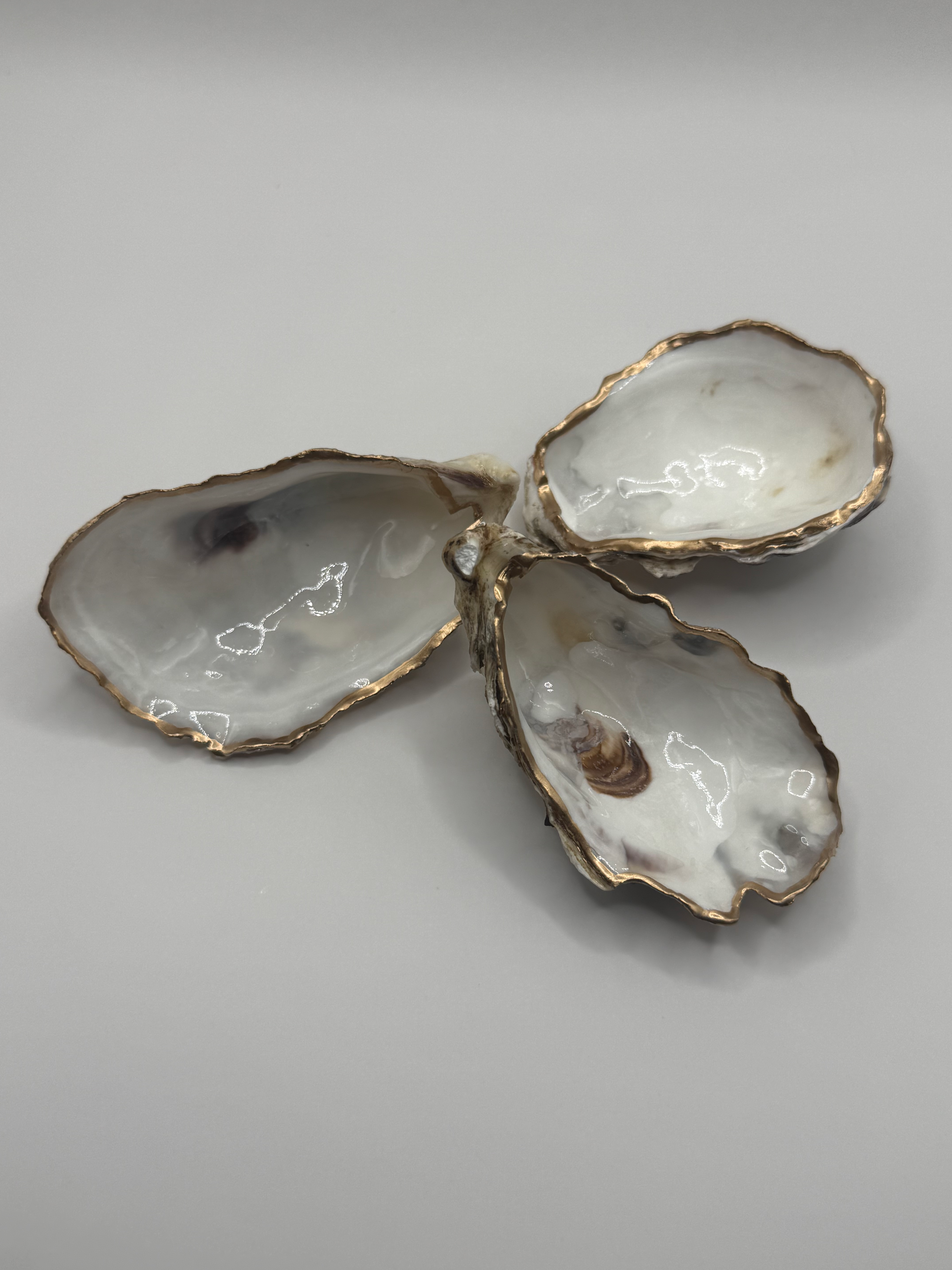 Oyster Magnets III, Set of 3 