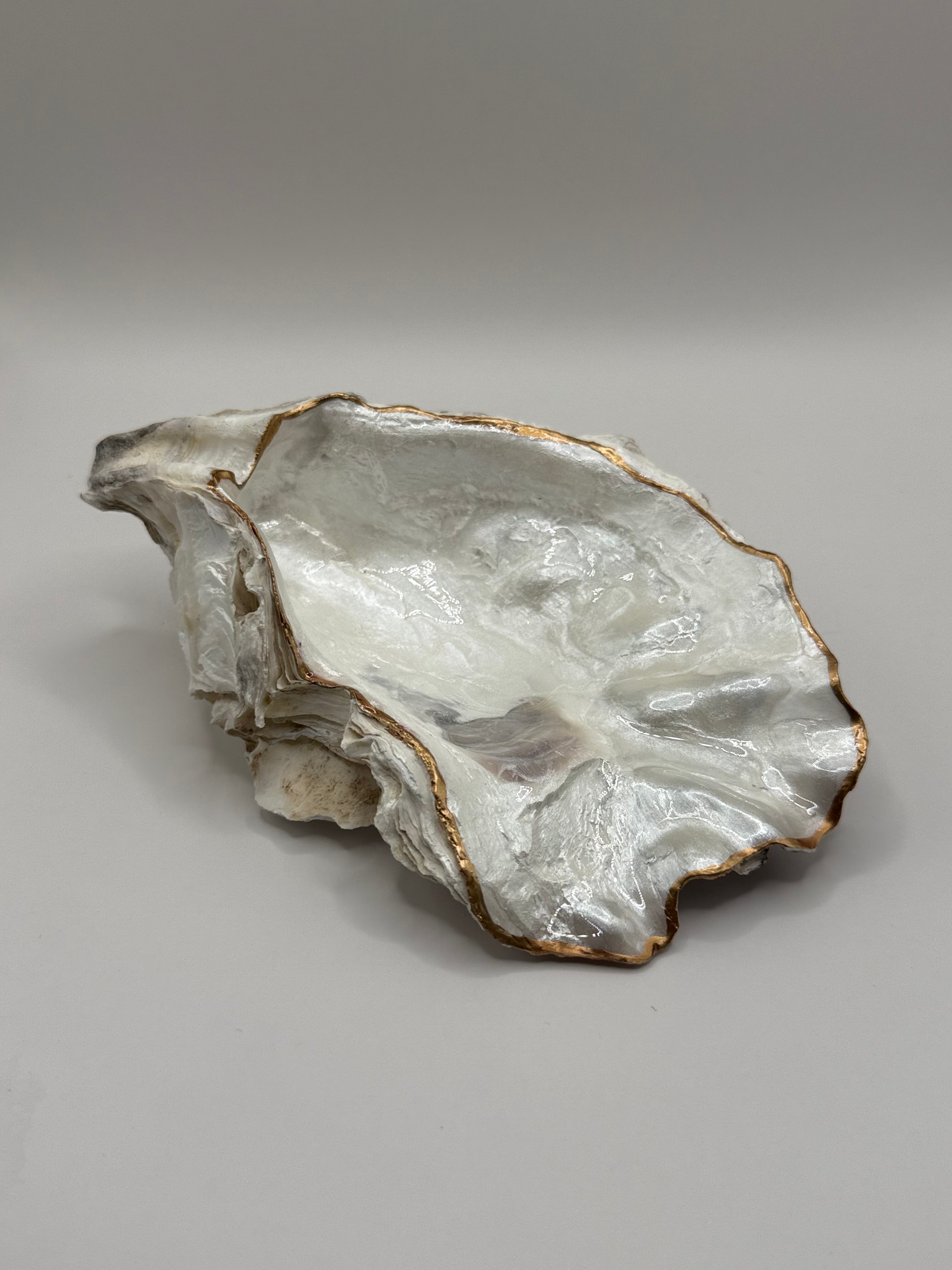 Pacific Pearl Oyster Shell