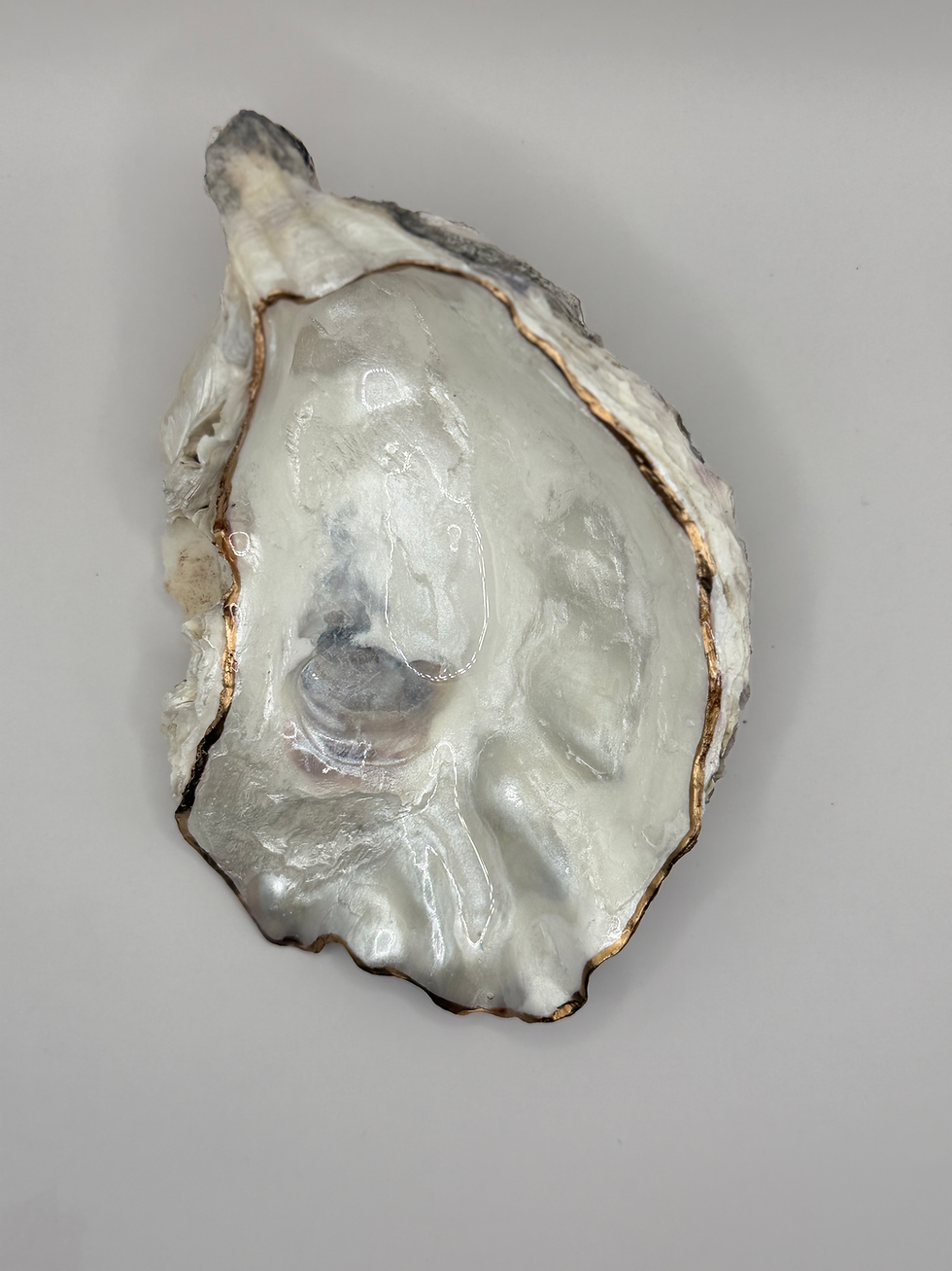 Thumbnail: Pacific Pearl Oyster Shell