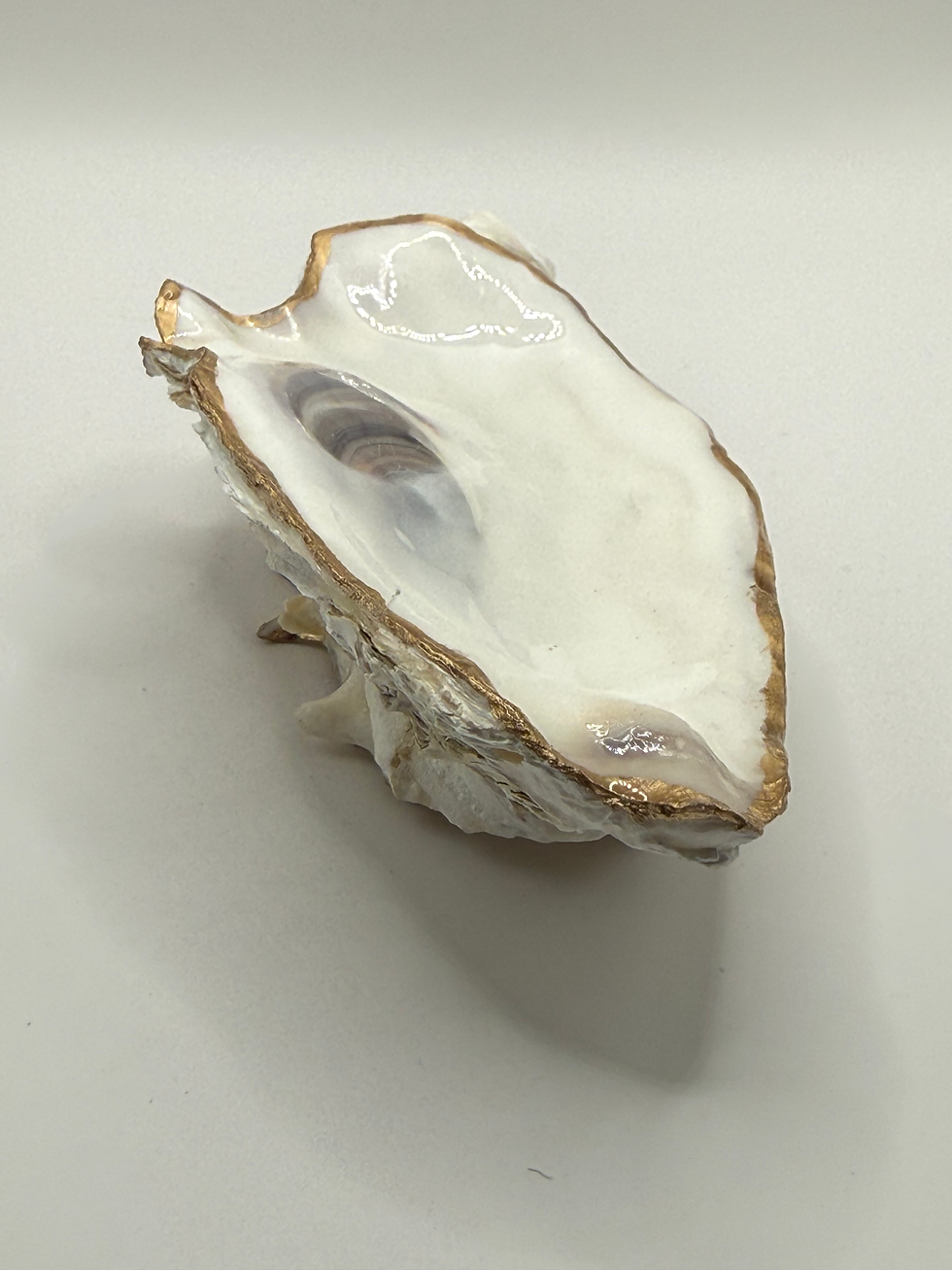 Thumbnail: Double Curve/Flat Oyster Shell