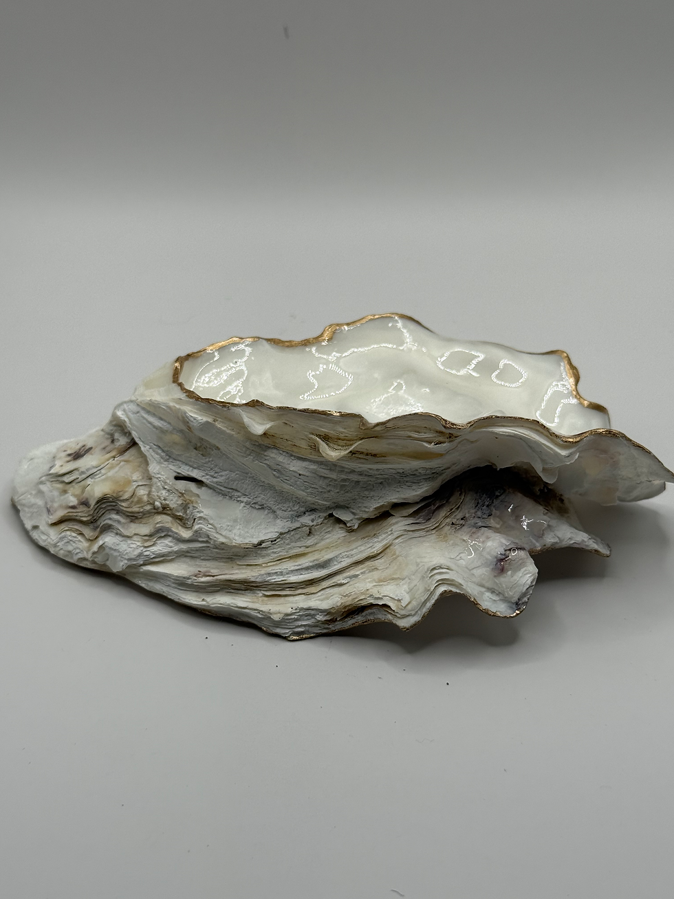 Thumbnail: Double Curve/Flat Oyster Shell