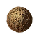 logo arapy _edited.png