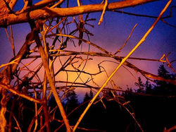 There is a #light through the web of #confusion !_My #view from the porch at my resting place right 