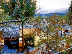 I love our #frozen #pond with a little #light #peaking through for the #sunset ! _)_#ongoldenpond #m