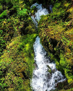#nofilter #washington #washingtonstate #pnw #waterfall #waterfalls #volcano #mountadams #mtadams #mt