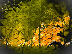 Country livings greatest fear-fire. This is our one and only, it got to15 metres from the house. Way too close.