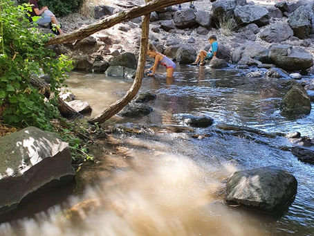 מסלולי קיץ ברמת הגולן
