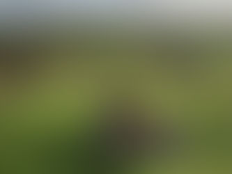 Harting Down - מסלול מעגלי, בית קפה איטלקי וחוות איילים