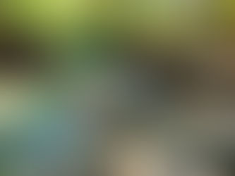 אצבע הגליל - המלצות לקיץ