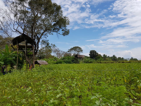 סרי לנקה עם ילדים!