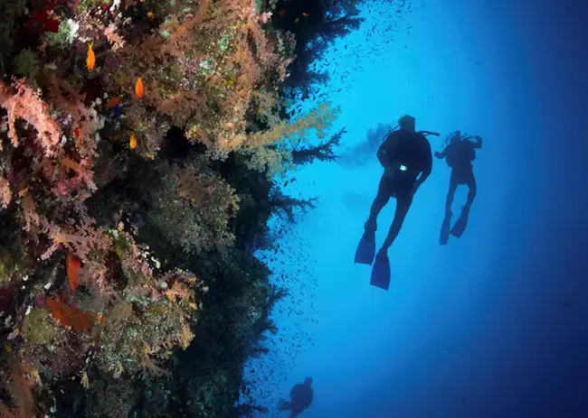 498832-red-sea-egypt.webp