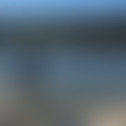 Lessons from a year off training and alcohol