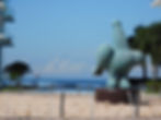 DSCN5600.JPG