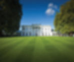 The Hurlingham Club