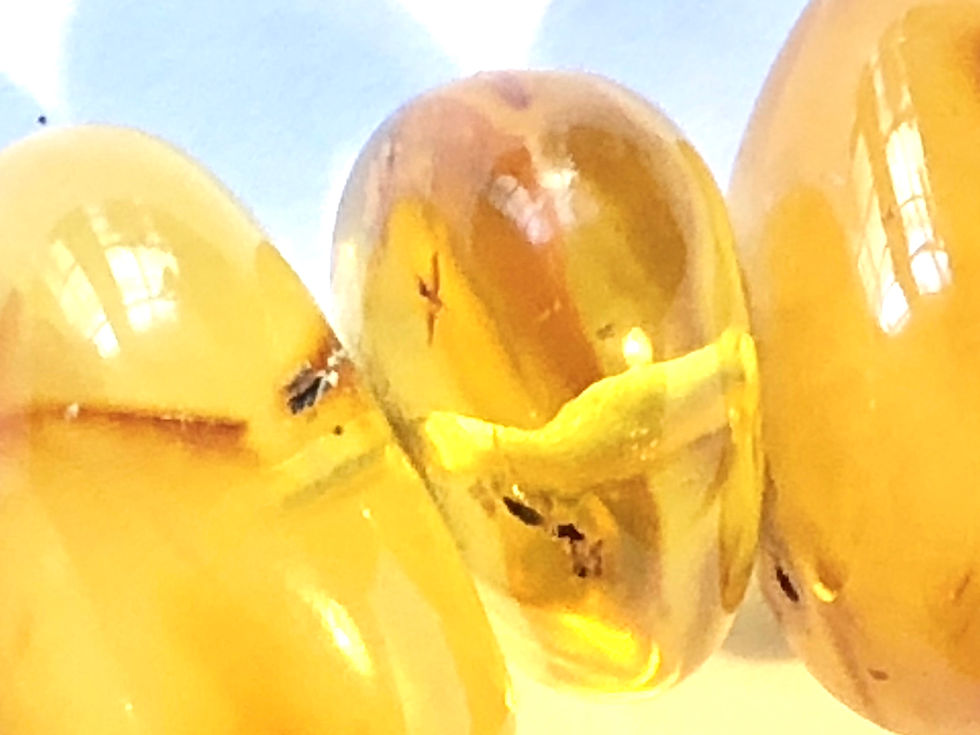 Miniaturbild: Collier - Bernstein