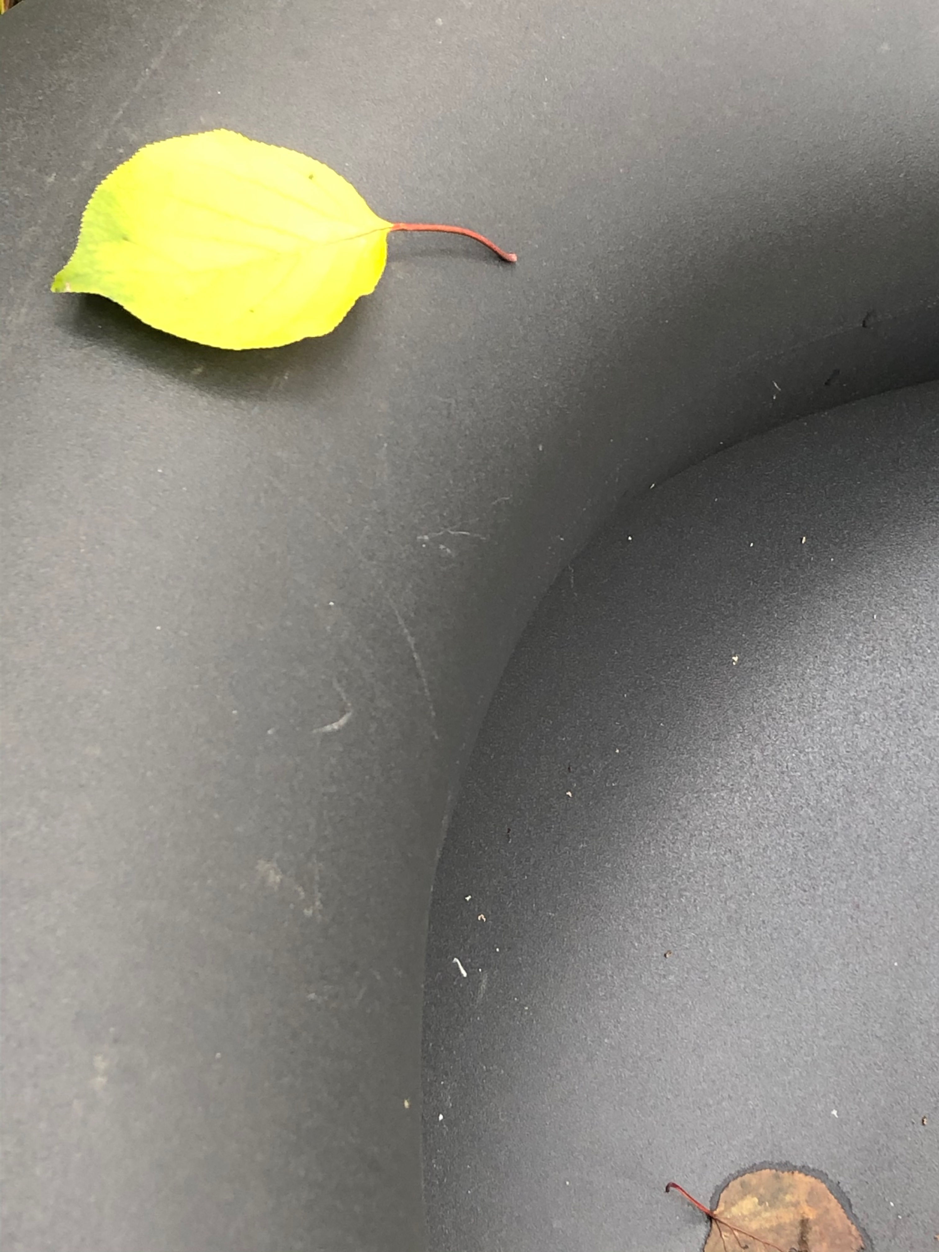 Klubsessel - Konstantin Grcic - Magis - sam son