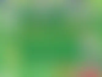 Plant Check-In With What is this Plant (March)