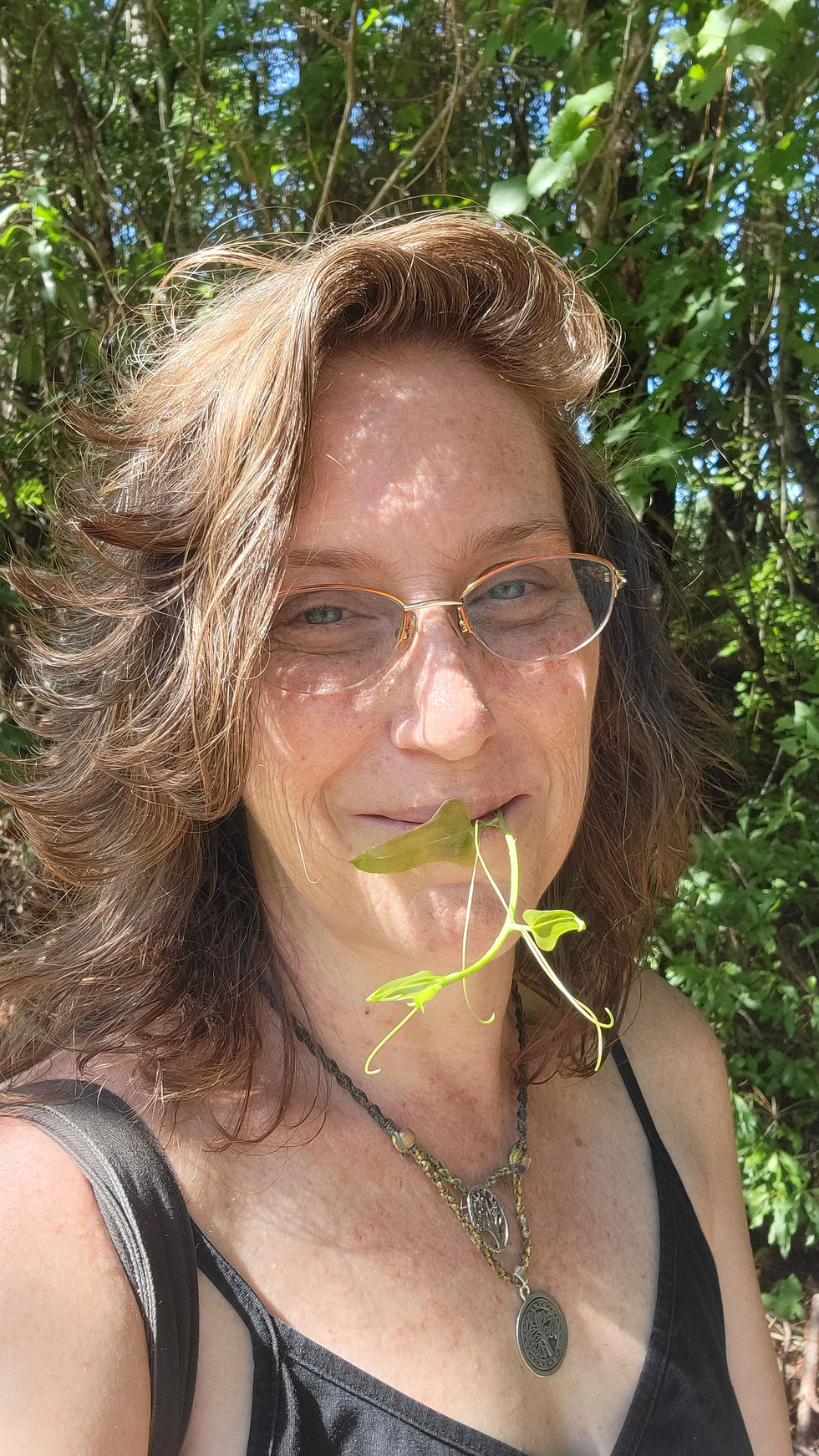 🌿Field Notes from Saturday's Herb Walk