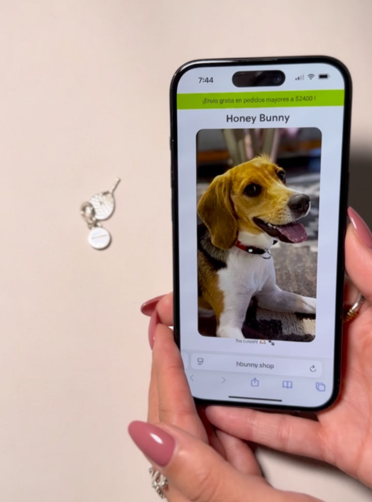 memory bunny honey bunny