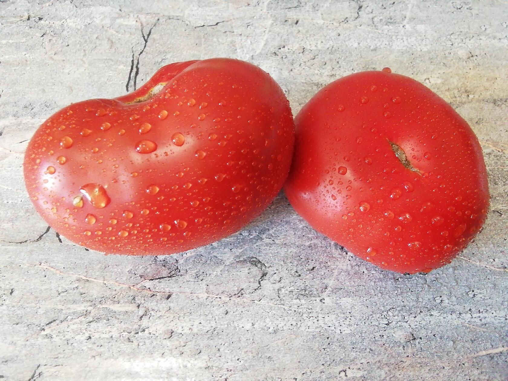 93- Dwarf Wild Fred  / Гном Дикий Фред