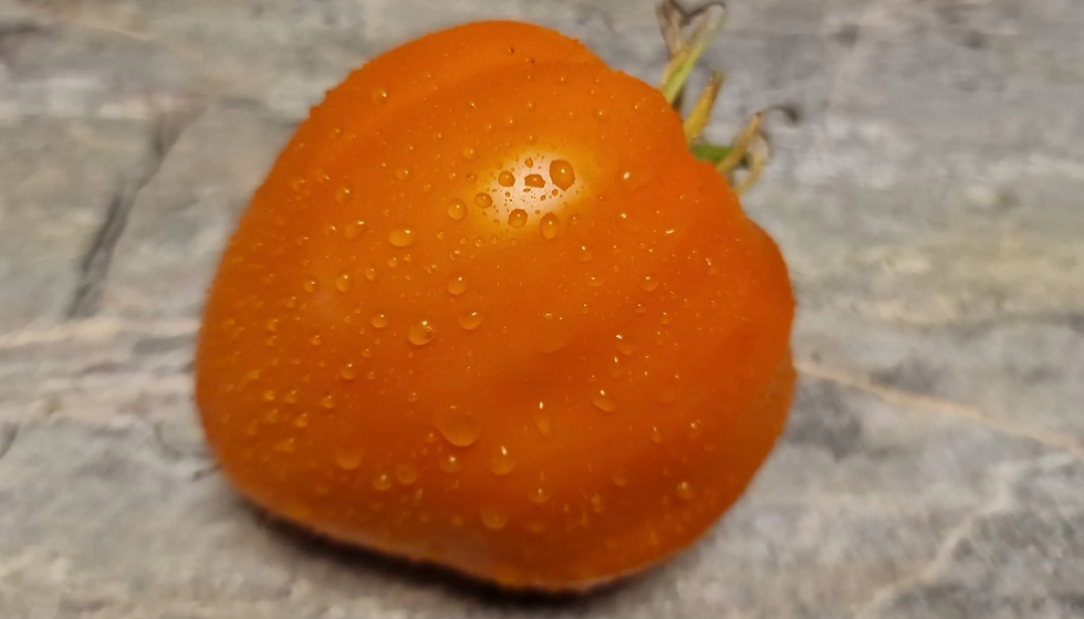 4557 - Bull's heart amber / Бычье сердце янтарное