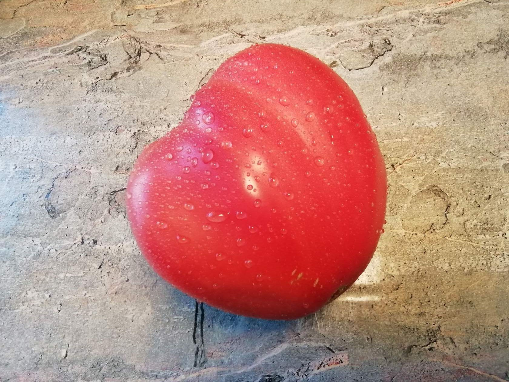 3581 - Bull heart pink \ Бычье сердце