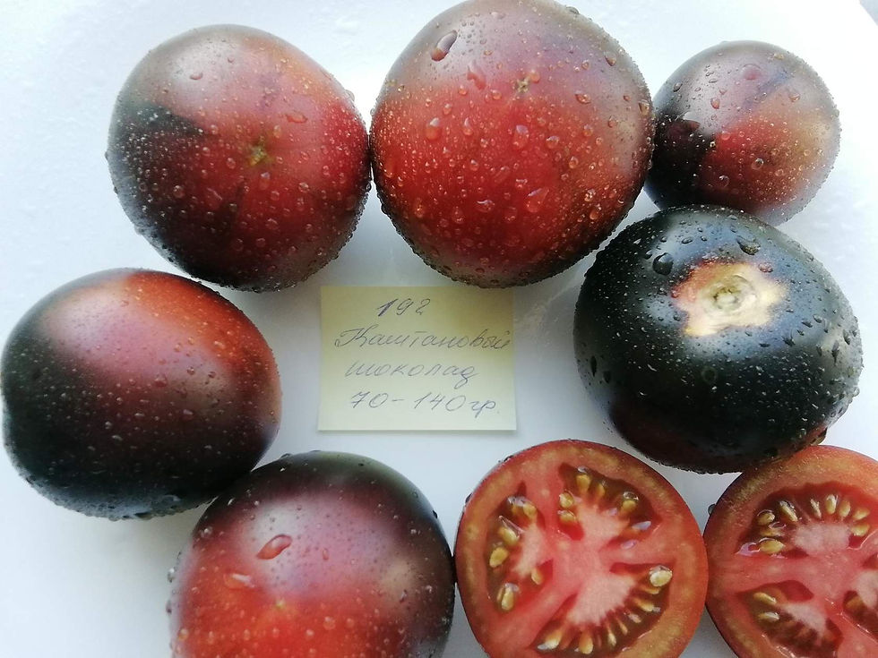 Thumbnail: 192 - Chestnut Chocolate  / Каштановый шоколад